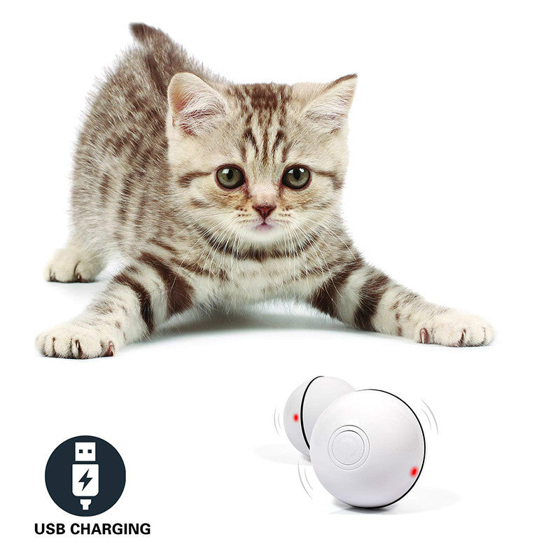 Interactive Electronic Cat Toy Ball with LED Laser